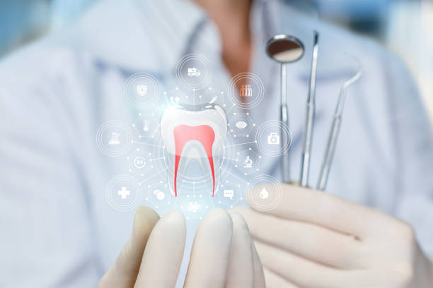 Best Dental Exams and Cleanings  in Palm Coast, FL